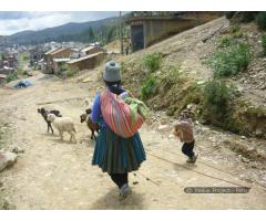 Volunteering in plastic arts, acting, dance, language and music with native children in Peru