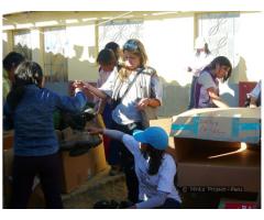Volunteering in plastic arts, acting, dance, language and music with native children in Peru