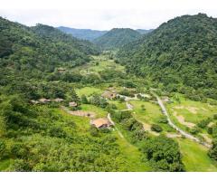 Volunteer in a Sustainable Eco-project in the Rainforest of Costa Rica