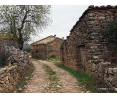 We need to volunteer in Adahuesca (Huesca), Spain