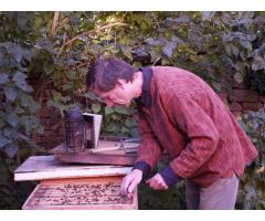 Beekeeping, eco(re)construction of an old farmhouse, personal exchange