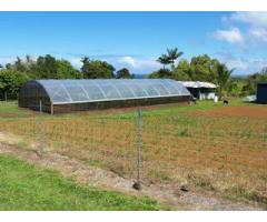 Farm in Hawaii