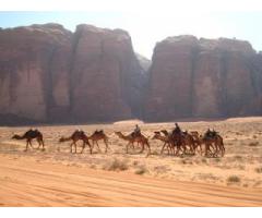 Wadi Rum desert Jordan