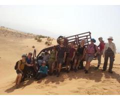 Volunteer needed in Petra