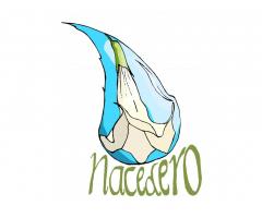 Nacedero