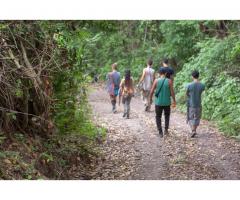 Learn how to prepare ancestral medicine in Colombia