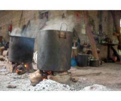 Learn how to prepare ancestral medicine in Colombia