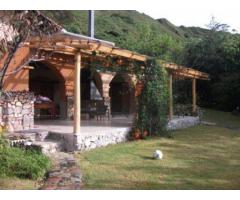 GAZELOOK.COM: OUR OPERATIONS OFFICE IS LOCATED ON A BEAUTIFUL ORGANIC FARM OUTSIDE OF VILCABAMBA, LO