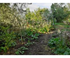 Se necesita ayuda para la ampliación de la bioconstrucción y mantenimiento de un espacio holístico