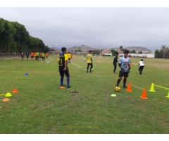 We are looking for soccer coaches for children's sports school.
