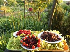 CHABEUIL, 26120 france,