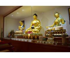 Volunteer at a Buddhist Meditation Centre