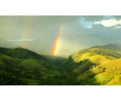 Reconnect with nature n a peaceful homestead in the highlands of Serra da Mantiqueira, Brazil