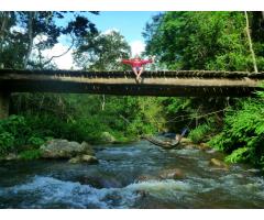 Reconnect with nature n a peaceful homestead in the highlands of Serra da Mantiqueira, Brazil