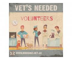 Volunteer Veterinary Staff