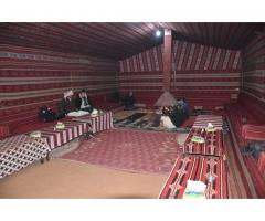 Wadi Rum Camp with Hiking Tour, help with tourists