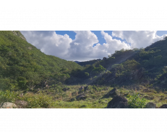 Needed Help por LA NUEVA TIERRA, Monte Azul (Minas Gerais), Brasil