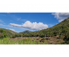 Needed Help por LA NUEVA TIERRA, Monte Azul (Minas Gerais), Brasil