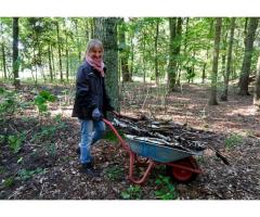 Help with projects at a Buddhist meditation centre near Berlin :)