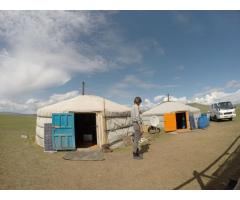Nomad needs a volunteer for herding livestock in Mongolia