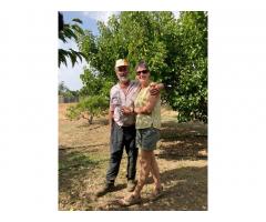 Volunteering at the  Farm Arbonès (South Catalonia, Spain)