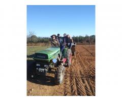 Volunteering at the  Farm Arbonès (South Catalonia, Spain)