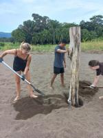 Help us in our environmental project to protect sea turtles in Bahía Drake, Costa Rica