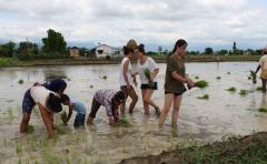 Gap year volunteer program in Nepal