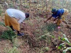 Support the construction of model kitchen gardens in Mukarange
