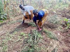 Support the construction of model kitchen gardens in Mukarange