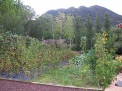 Help needed in our vegetable garden and maintenance of our house. in Northern Catalonia