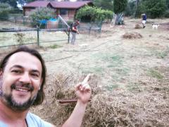 Stray animasl sanctuary, farm - Antalya, Türkiye