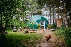 Help on our Eco Farm Camp on the beautiful island of Langeland in Denmark