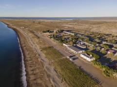 Gardening and Vineyard by the Ocean