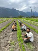 Help organic farming in the matanuska valley