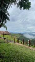 Green Dreams, Peru