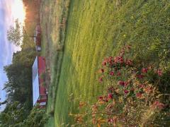 Need help with our farm in Centerville, TN