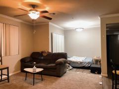 Cook & Chill Phoenix Homestay