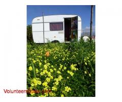 Help our little family farm among oranges and Etna in Sicily