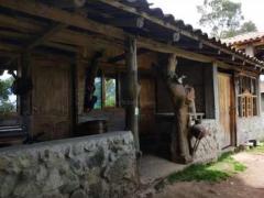 Construction, Agriculture, and Animal Care in a Natural Setting