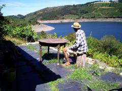 Laekside Cabin Ribeira de Sacra