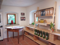 Co-Create a Sustainable Living Space in Austria  Join the Wohn(T)raum & LebensRaum Movement!