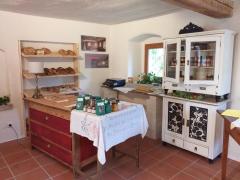 Co-Create a Sustainable Living Space in Austria  Join the Wohn(T)raum & LebensRaum Movement!