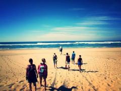 Help save the last hippos of Lake Sibaya, South Africa