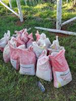 Needed help to build houses for chicken and dog sitting