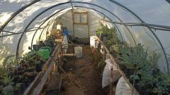 Huerto agroecologico Las cascadas :)