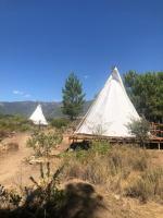 Voluntariado en tipis: bioconstrucci y vida consciente en los bosques de La Vera