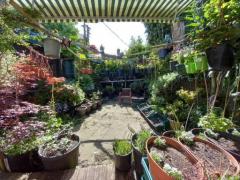Companionship / Garden Help at House Beside the Beach