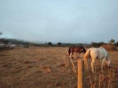 Help needed on eco farm in portugal
