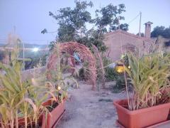 Alternative living and gardening